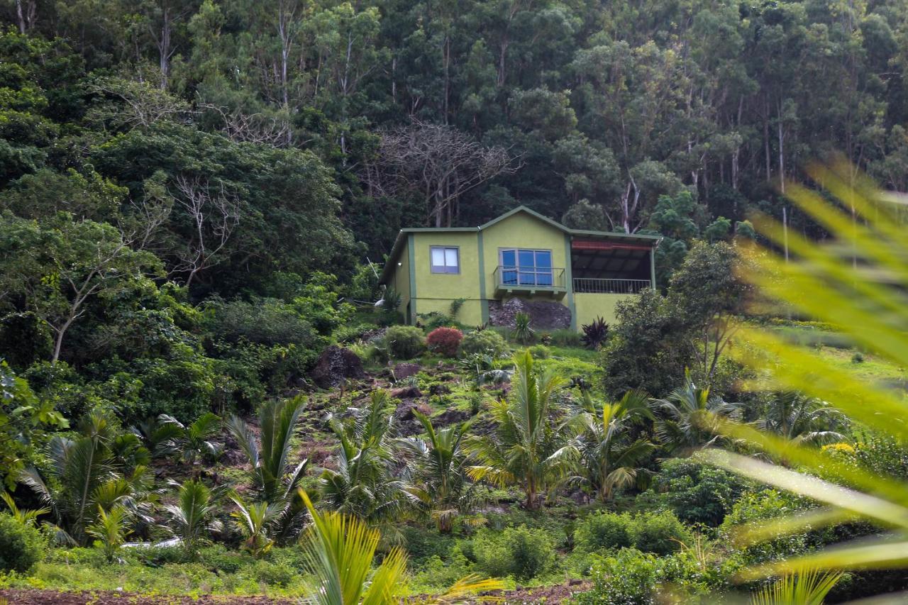 The Green Shack Quatre Soeurs Exteriör bild